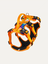 Full Coverage Dog Harness - Sunset Floral Splash